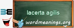 WordMeaning blackboard for lacerta agilis